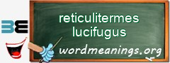 WordMeaning blackboard for reticulitermes lucifugus